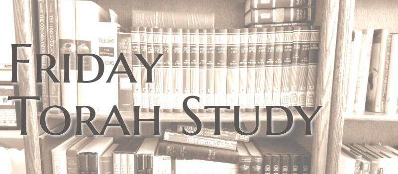 Banner Image for Friday Torah Study For Adults