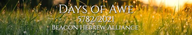 Banner Image for Days of Awe: Yom Kippur Morning Family Service
