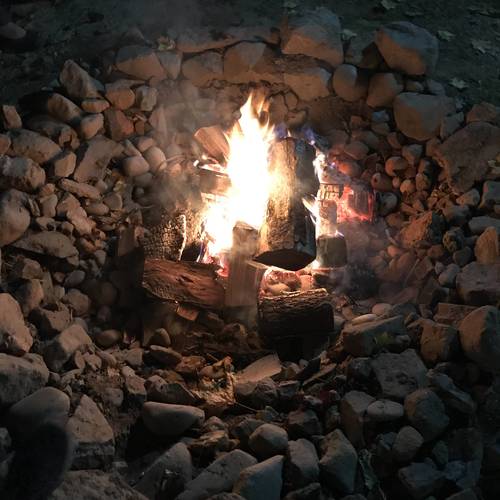 Banner Image for Tu BiShvat Seder: Around the Fire, and on Zoom!
