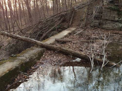 Concrete stairs lead to a concrete wall behind which a pool of water sits. Leaves and tree branches are strewn over the structure and in the water. It is late fall or early spring, with many barren trees about.