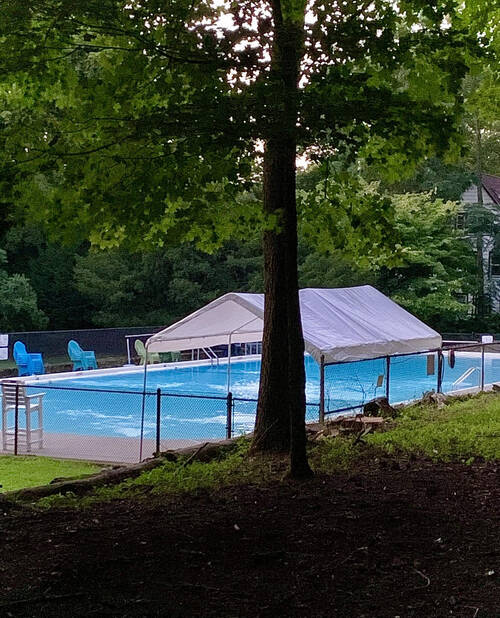 a clear blue pool sparkles behind an open shade tent and chain link fence. A large pine tree is in the foreground sitting on a grassy knoll overlooking the pool.