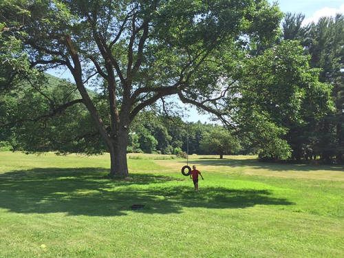 A large oak tree with wide branches stands in the center of a green field. There is a tire swing hanging off one of the branches and a little boy in a red shirt is walking in front of it towards the camera.
